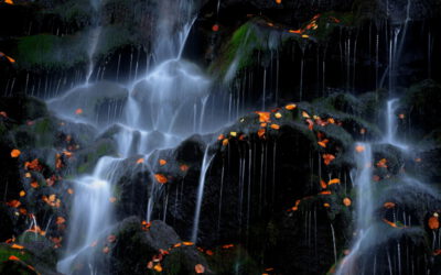 2014 – Ausstellung galerie club parterre Gotha