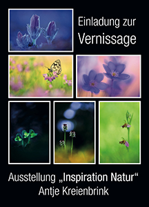 Inspiration Natur – Antje Kreienbrink