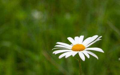 2018 – Fotografisches Frühstück Kleinbreitenbach