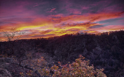 2019 – Harztour im Herbst