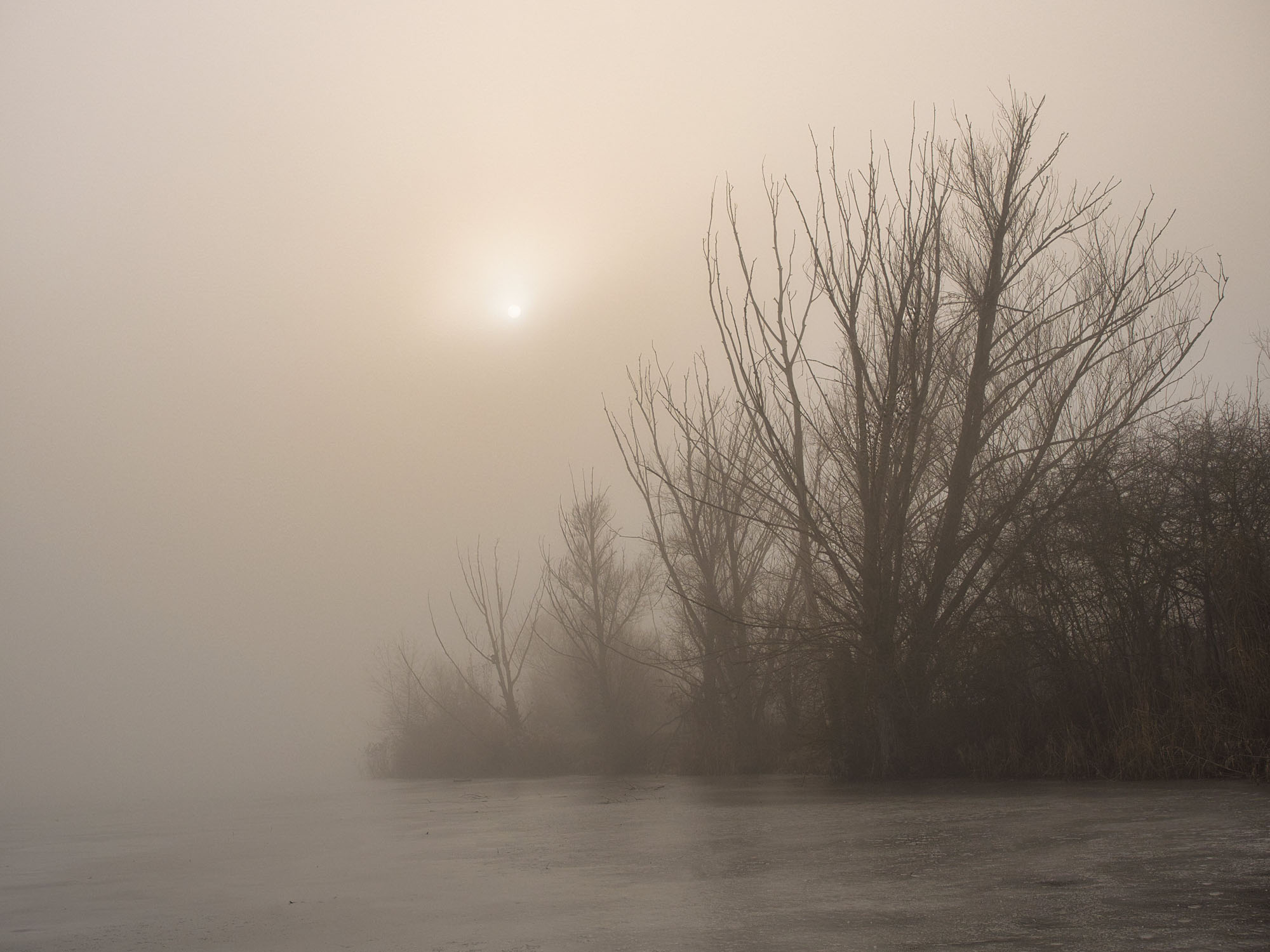 fotografiert von Frank