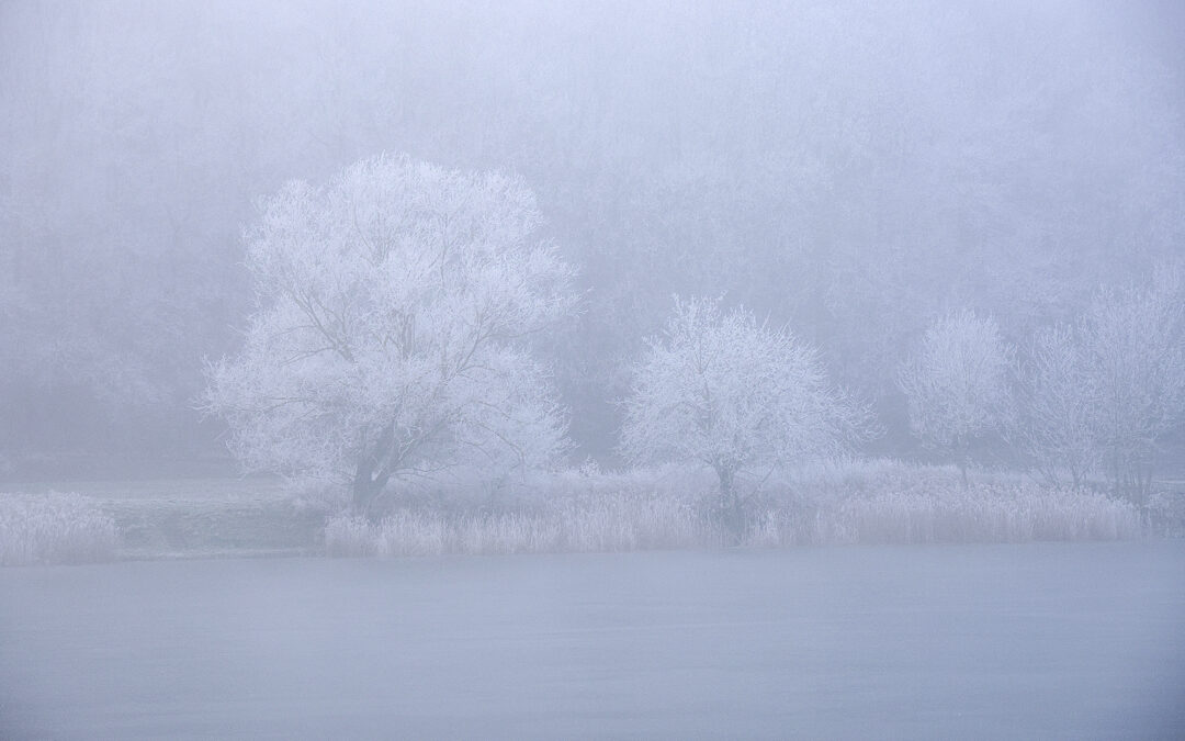 Foto des Monats 2026