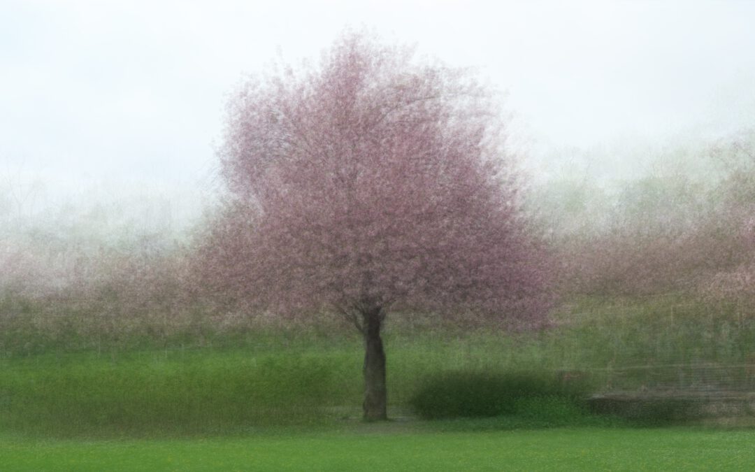 Foto des Monats 2026