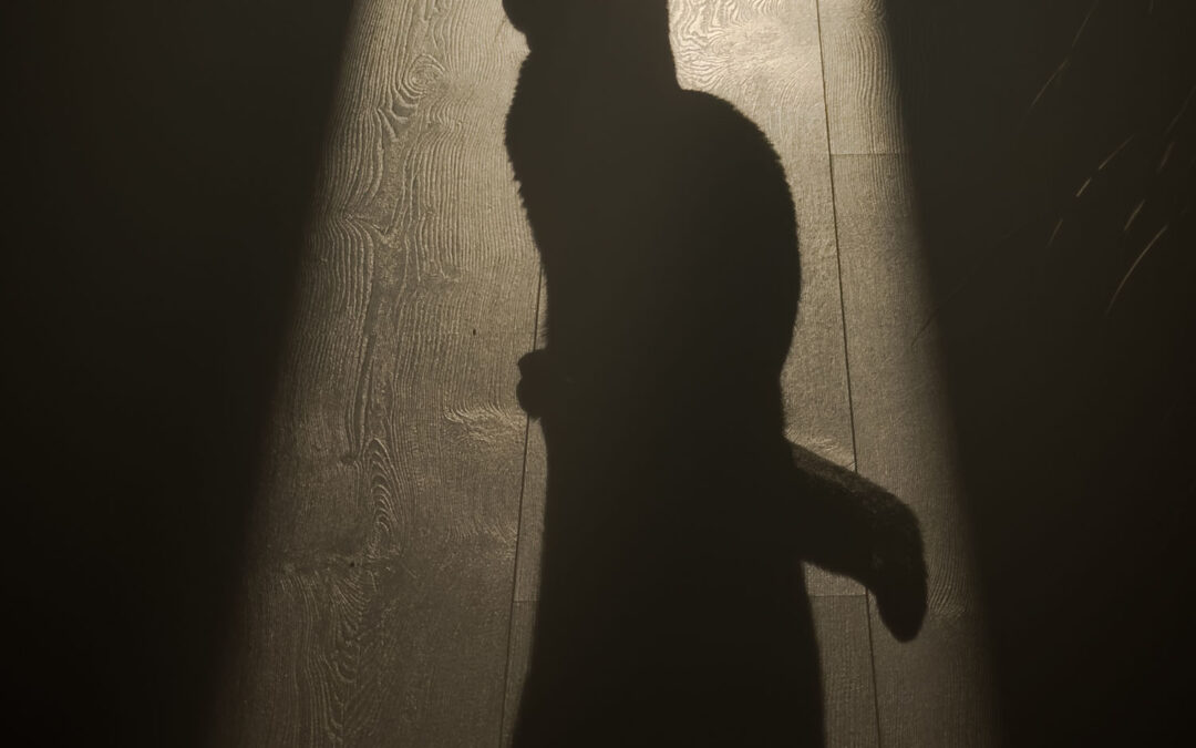 Gegenlicht