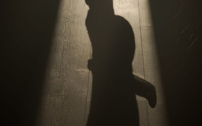 Gegenlicht